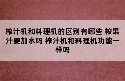 榨汁机和料理机的区别有哪些 榨果汁要加水吗 榨汁机和料理机功能一样吗